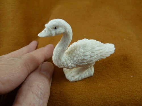 Little duck duckling - little,