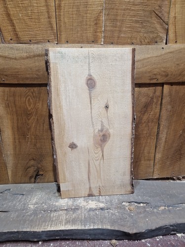 Pine slab live edge - live,