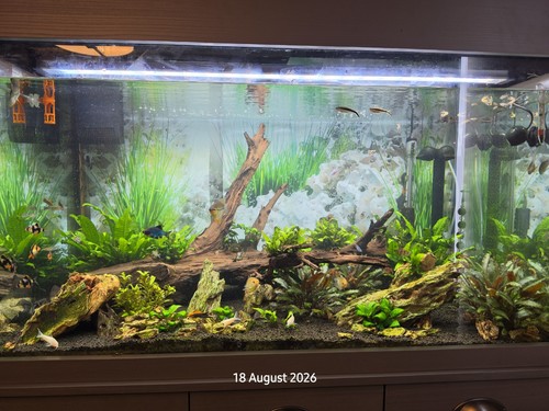 Fluval shaker aquarium set - fluval,