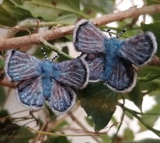 Handmade Needle Felted Common Blue Butterfly Brooch