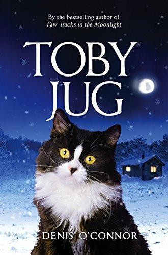 Toby jug connor - jug,