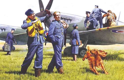 Icm 48081 48 - icm, pilots