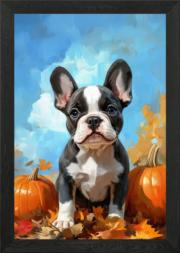 Boston terrier puppy with - boston,