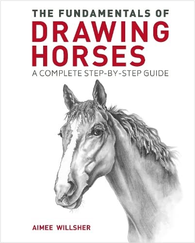 The fundamentals drawing - of,