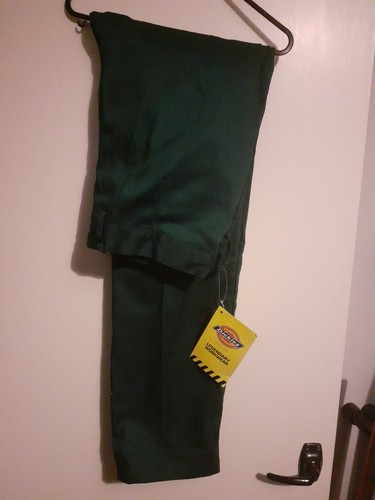 Dickies men green cargo - men's,