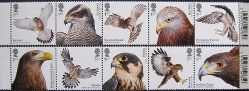 Qeii 2019 birds prey - qeii,