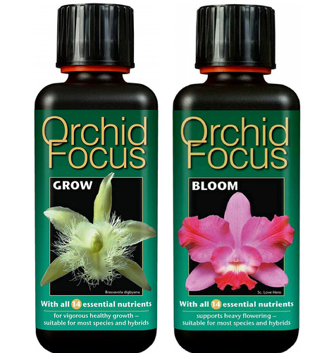 Growth technology orchid focus - technology,