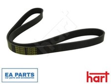 V-Ribbed Belt for IVECO DAILY