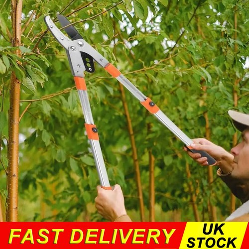 Garden pruning shears - garden,