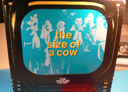 The wonder stuff size - wonder,