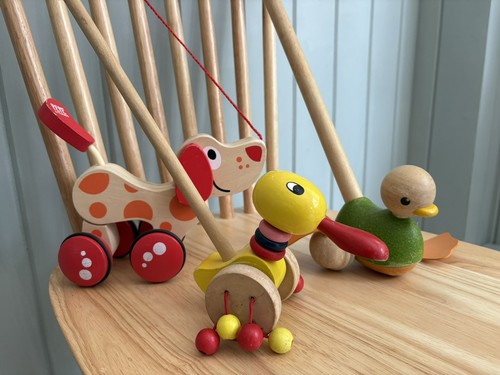 Push toy duck wooden - duck,,
