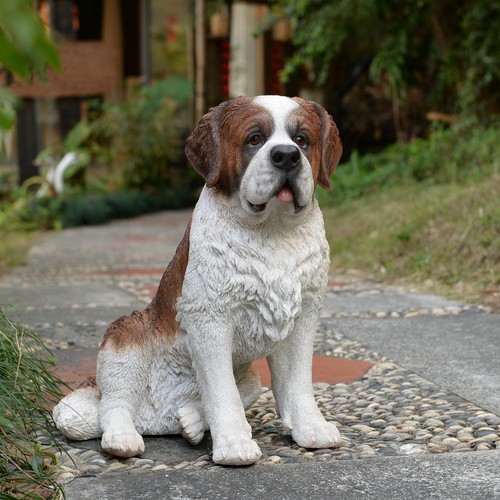 Lifelike saint bernard garden - saint,