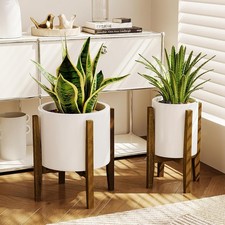 Bamworld Adjustable Plant