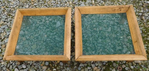 Ground seed feeder - , bird