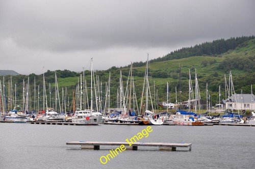 Photo 6x4 craobh - photo, haven
