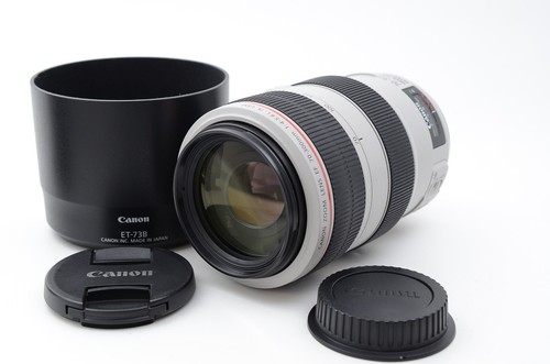 Canon 300mm 5 6 l - canon,