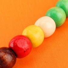 APet Bird Parakeet Budgie