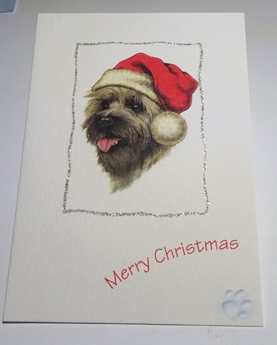 Cairn terrier pack five - pack,