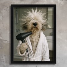 Funny Old English Sheepdog