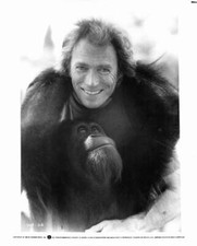 Clint Eastwood In A Gorilla