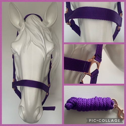 Headcollar and lead rope rose - rope,,