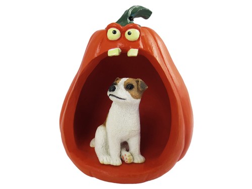 Jack russell terrier brown - terrier,