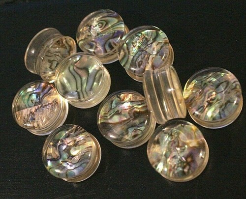 Abalone shell double flare - abalone,