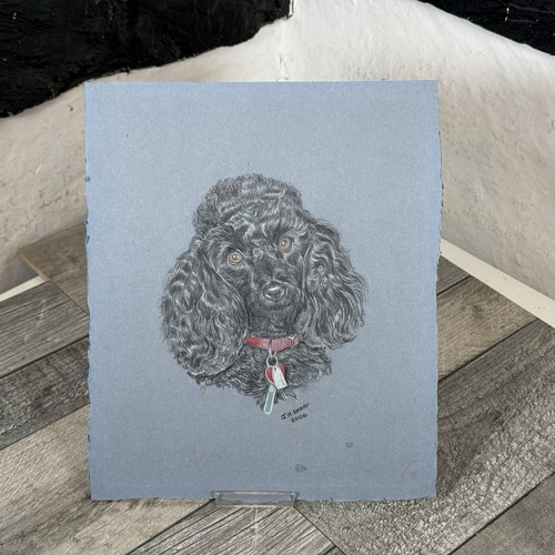 Original black poodle - original, dog
