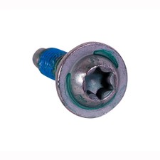 Wing Mirror Retaining Screw