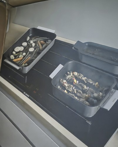 Bosch pro induction - pro,
