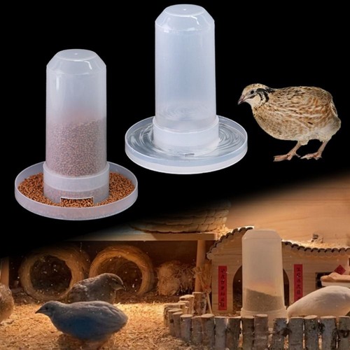 1pc pigeon feeder bird - 1pc,
