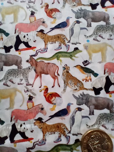 Quey zoo animals - -,