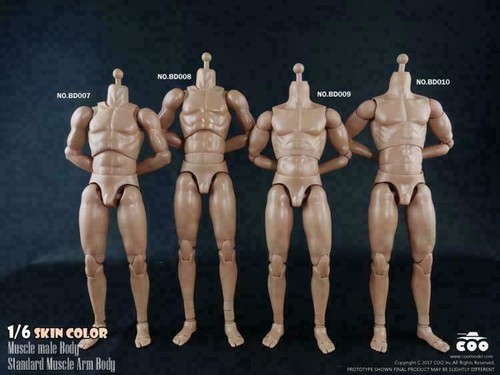 Coomodel muscle male body - male,