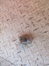 YAMAHA YR5  R5 YDS7 SEAT LATCH