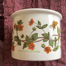 Portmeirion Botanic Garden Plant Holder - Scarlet Pimpernel