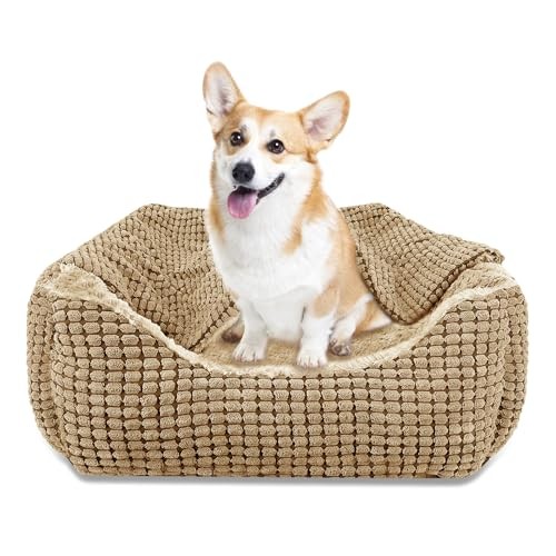 Joejoy rectangle dog bed - joejoy,