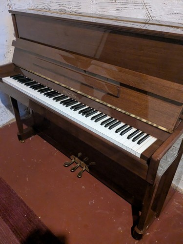 C2006 immaculate waldstein - immaculate,