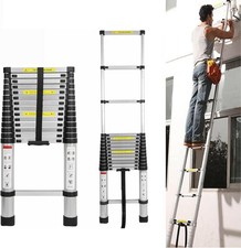 5M Telescopic Ladder 16.5FT