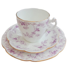 Wileman Foley Teacup Trio in