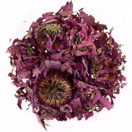 Herbflair echinacea flowers - herbflair,