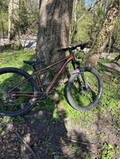 Cannondale cujo hardtail - cannondale,