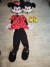 Minnie Mouse Costume + Mickey's Head for Adults