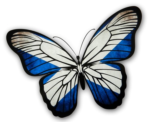 Beautiful butterfly design - beautiful,