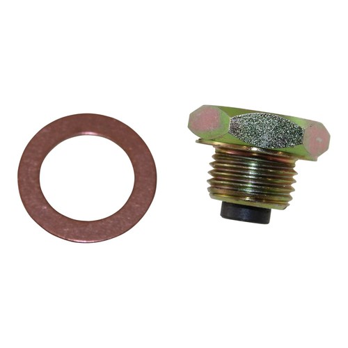 Oil drain plug screw - ,