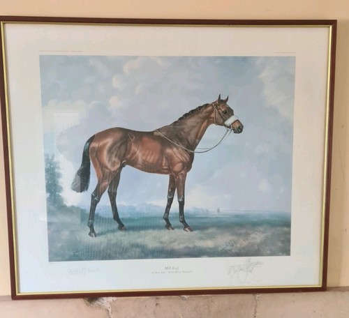 Signed print juliet mcleod - print, by