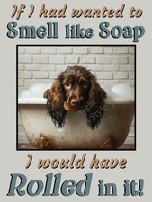 Cocker Sprocker Spaniel Brown