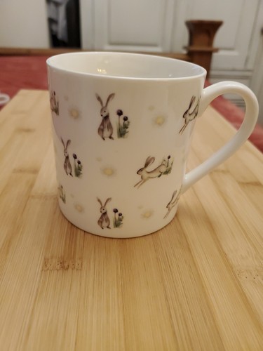 Botanical discovery rabbit - rabbit, mug