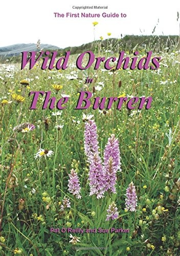 Wild orchids the burren - wild,