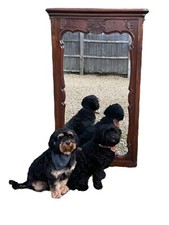 Antique Huge French Regency Style Pier Mirror - 58”  - Country House