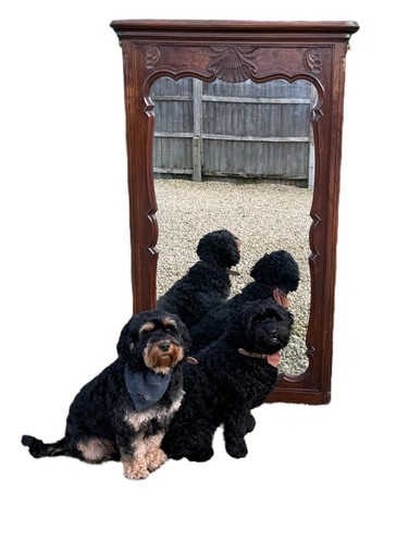 Antique huge french - antique,
